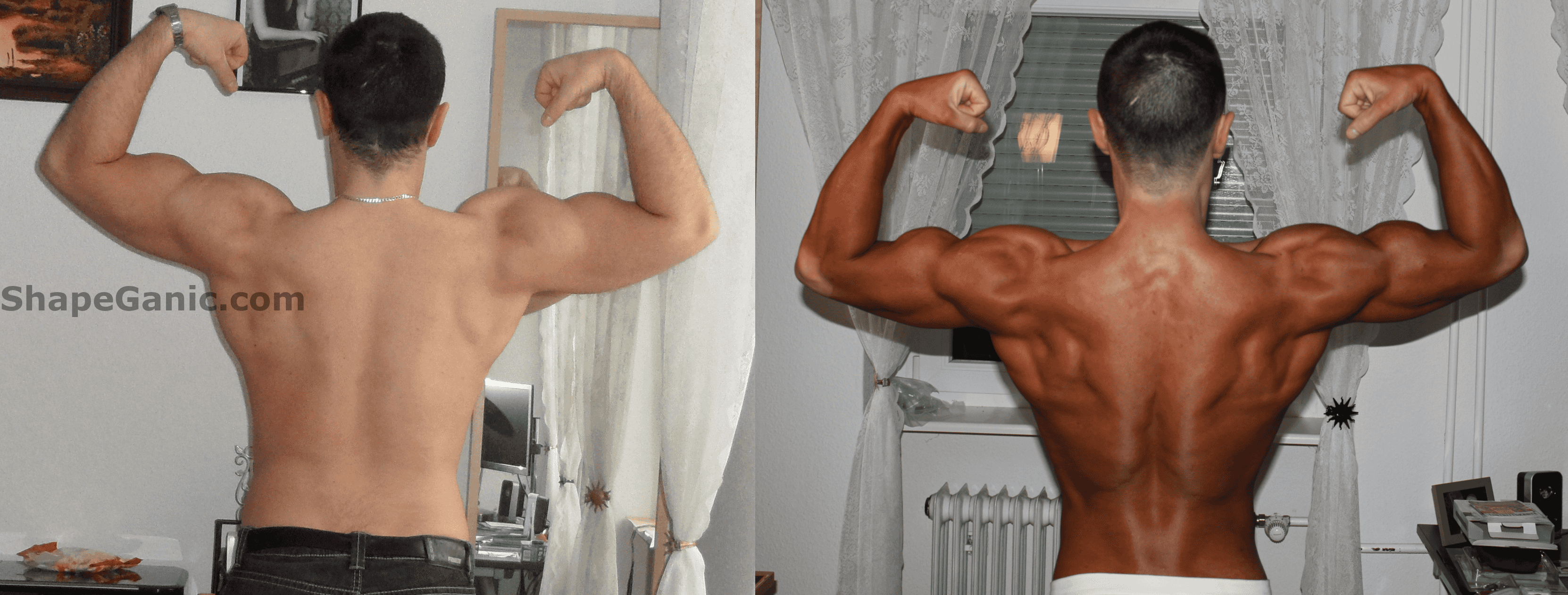 What should I eat to gain muscle and lose fat?